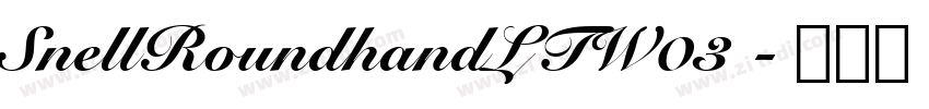 SnellRoundhandLTW03 字体转换